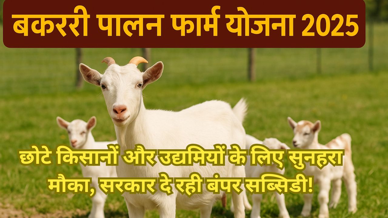 बकरी पालन फार्म योजना